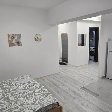 2 Camere,moghioros Park * Bucarest